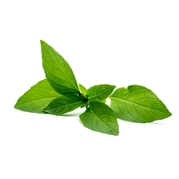 fresh-basil.png