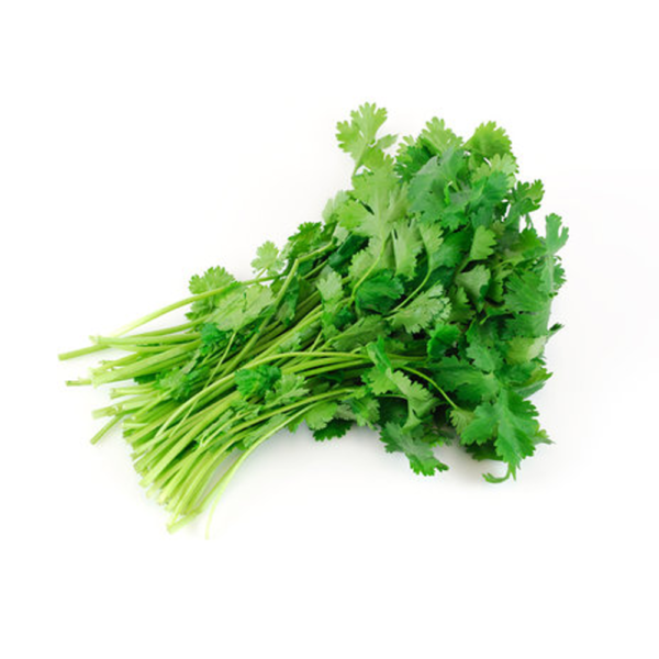 fresh-coriander.png