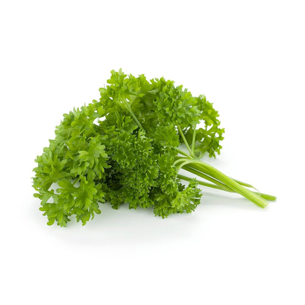 fresh-curley-leaf-parsley.png