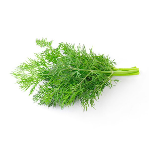 fresh-dill.png