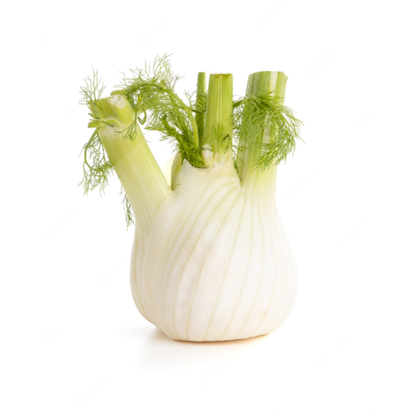 fresh-fennel.png