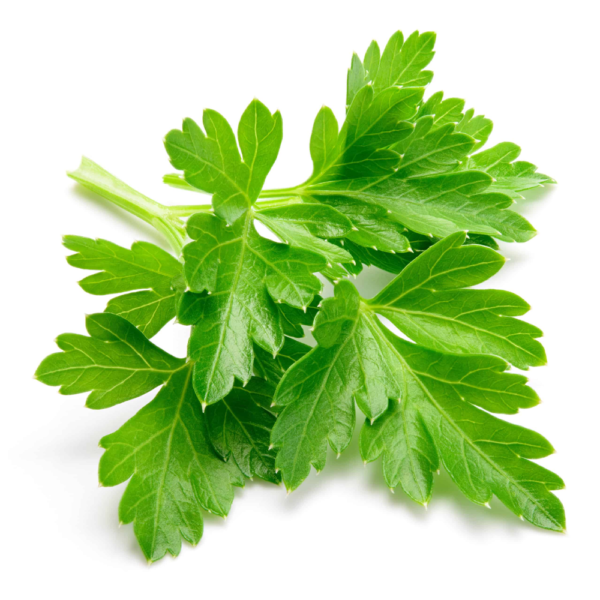 fresh-flat-leaf-parsley.png