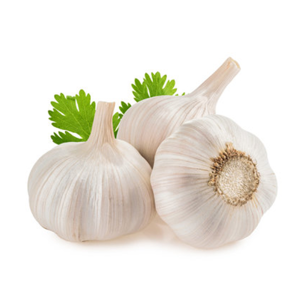 fresh-garlic.png