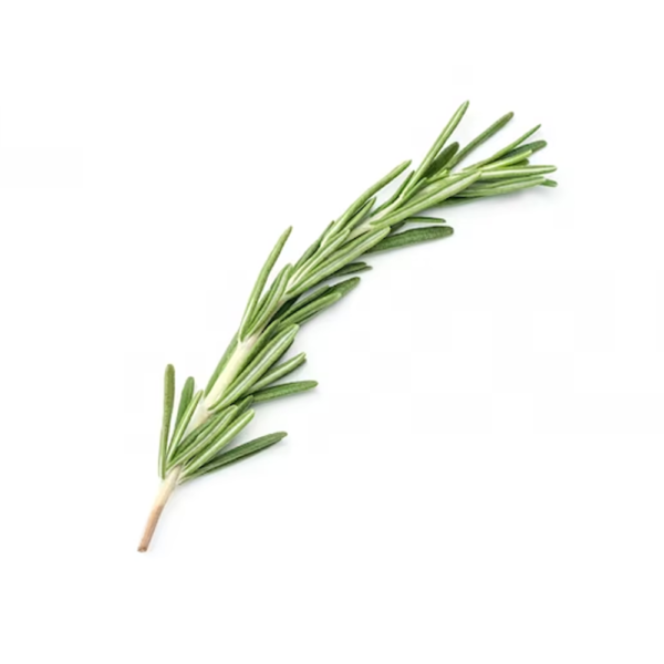 fresh-rosemary.png