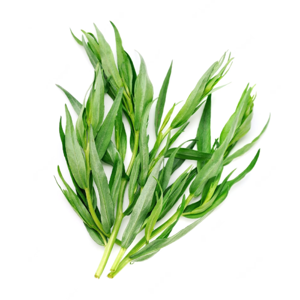 fresh-tarragon.png